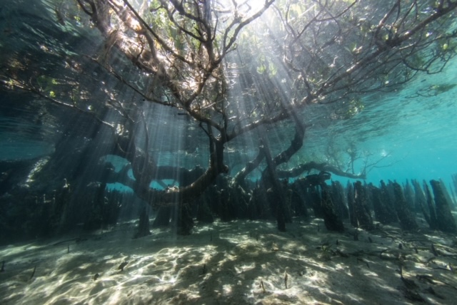 underwater
