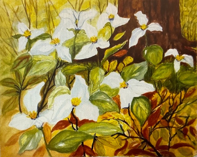Ten Trilliums Trilling