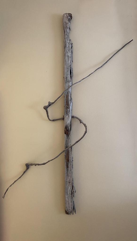 Found driftwood