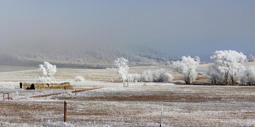 While living in Monument, CO, hoar frost greeted us many mornings.